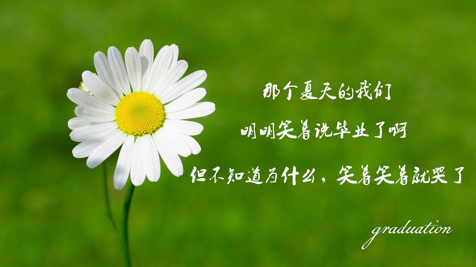 雄鹿球队迎来新赛季备战 球员状态出色，雄鹿球队迎来新赛季备战 球员状态出色视频