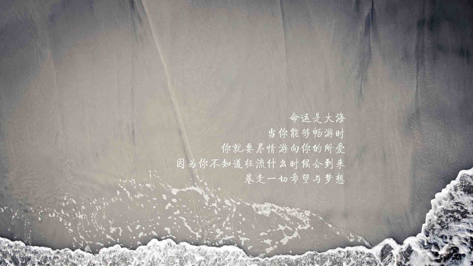 熊猫体育平台-雄鹿球队迎来新赛季备战 球员状态出色，雄鹿队新赛季阵容